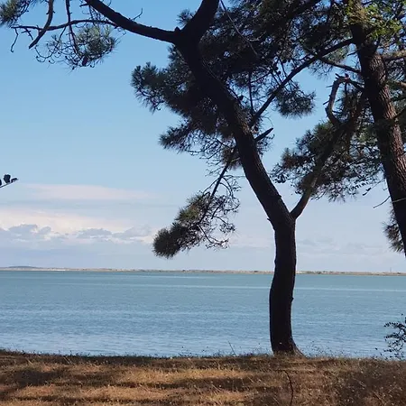 Campsite Mobile La Palmyre *