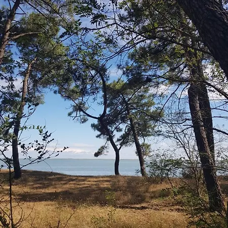 Mobile La Palmyre Campsite *