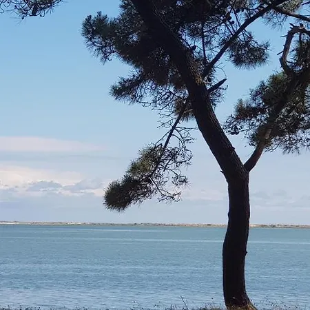 Mobile La Palmyre Les Mathes
