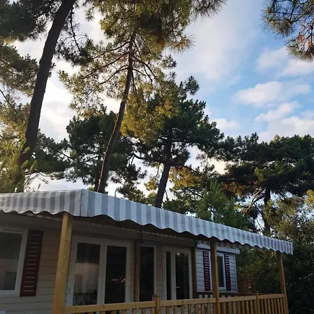 Mobile La Palmyre